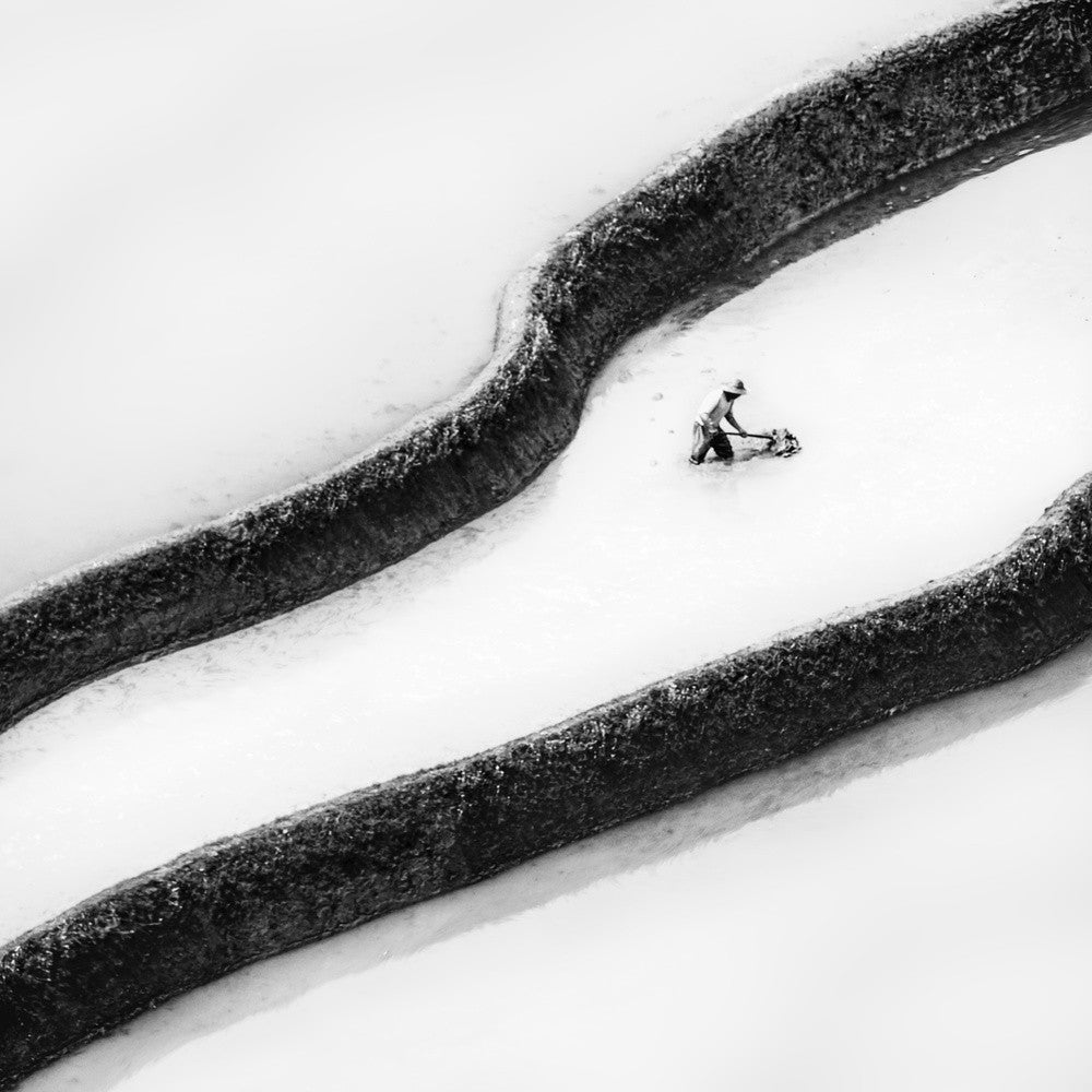 the farmer