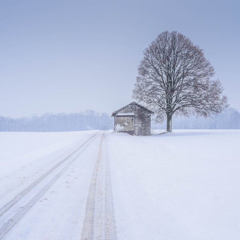 silence