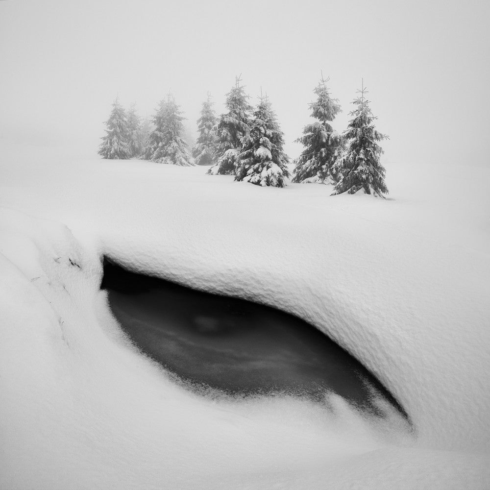 Dragon eye