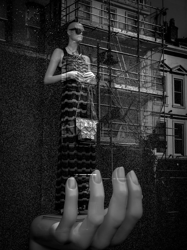 Ein Vogel in der Hand.