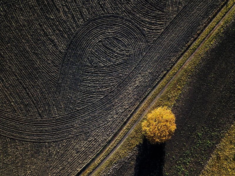 Russian field