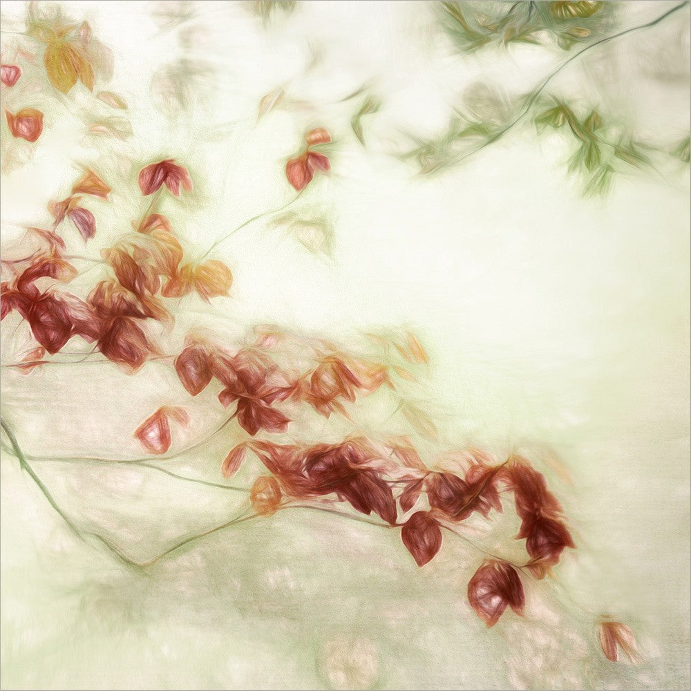 fleeting romance