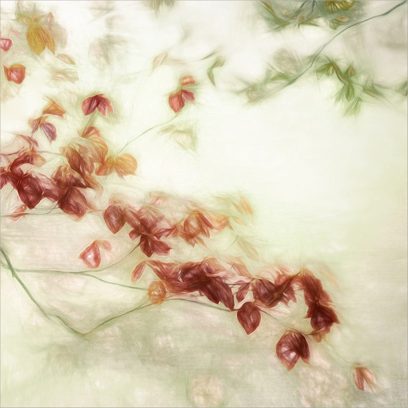 Romance éphémère