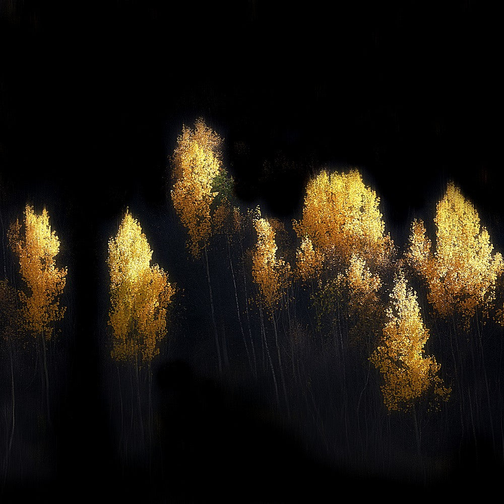 Ushguli Impression