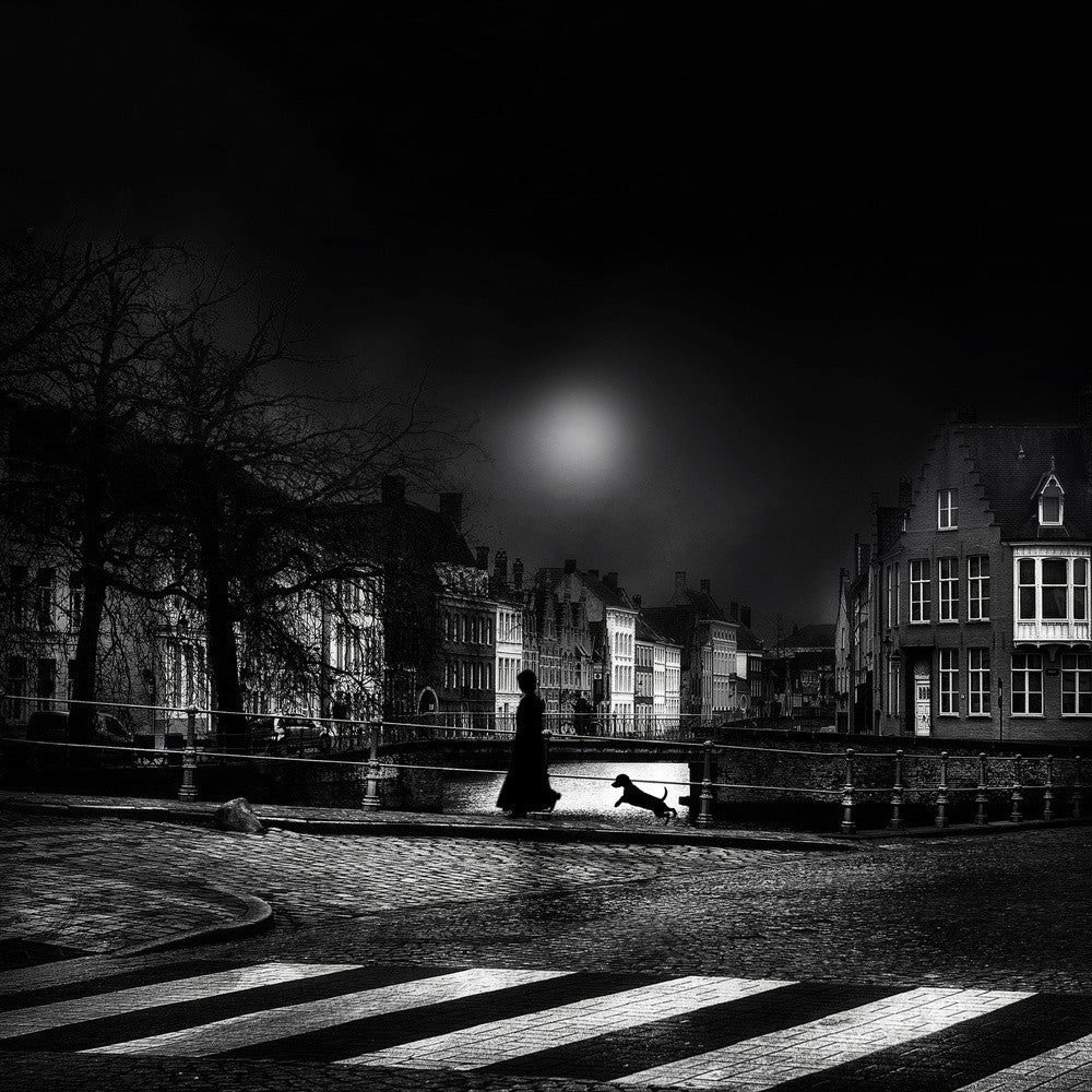 Moonlight stroll