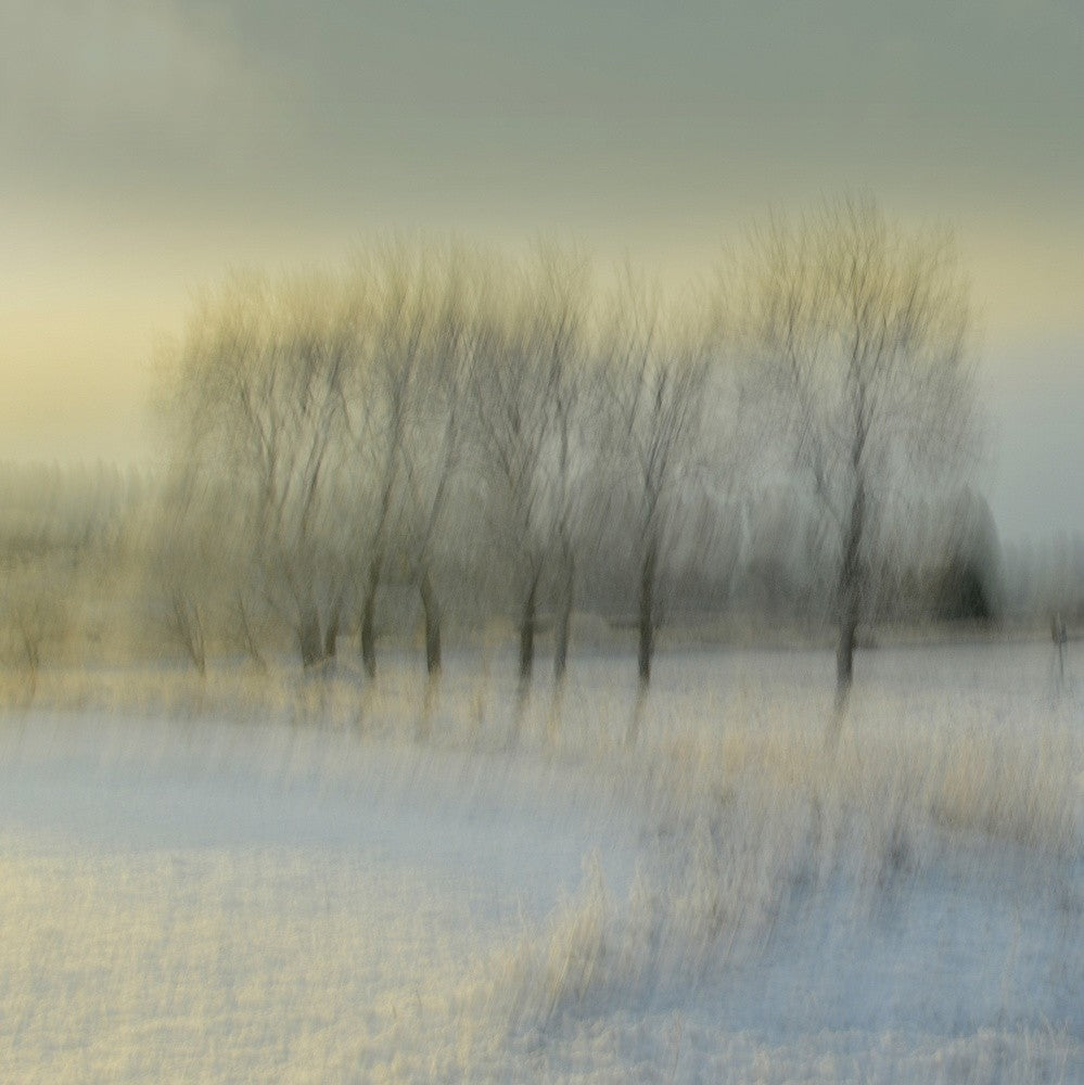 Snowy morning