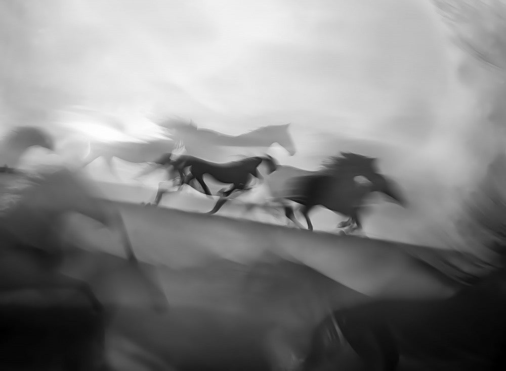 Beeindruckender Galopp