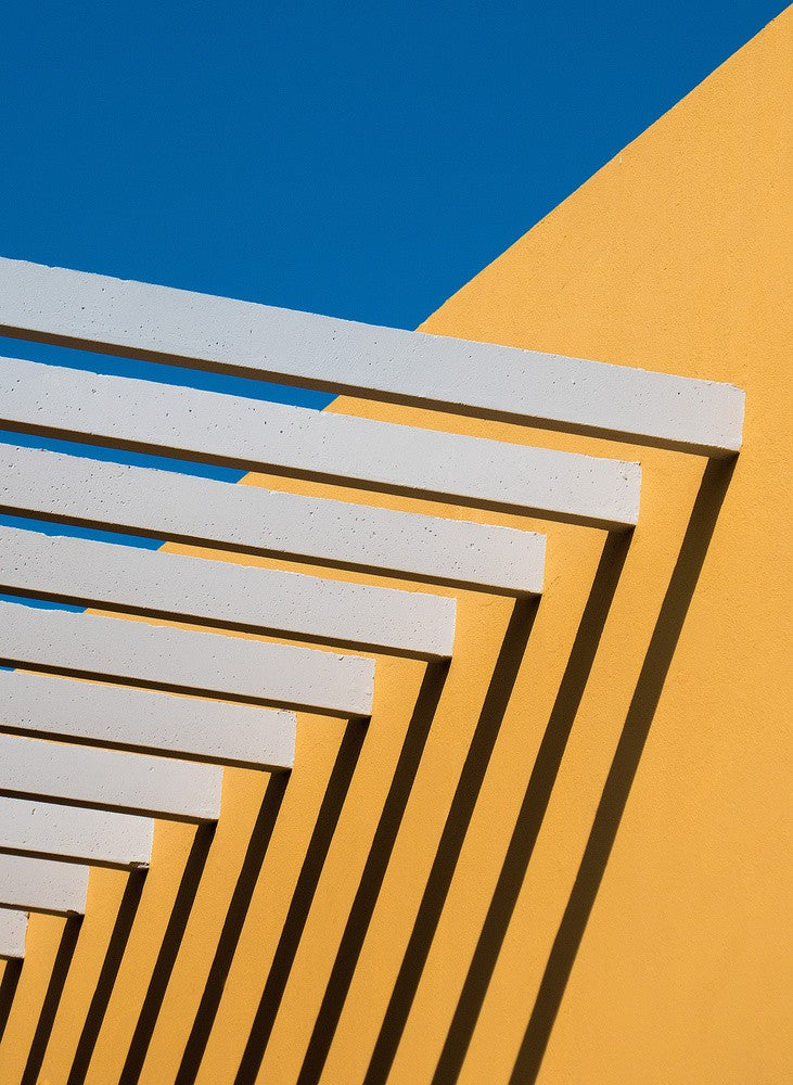 Sunny composition