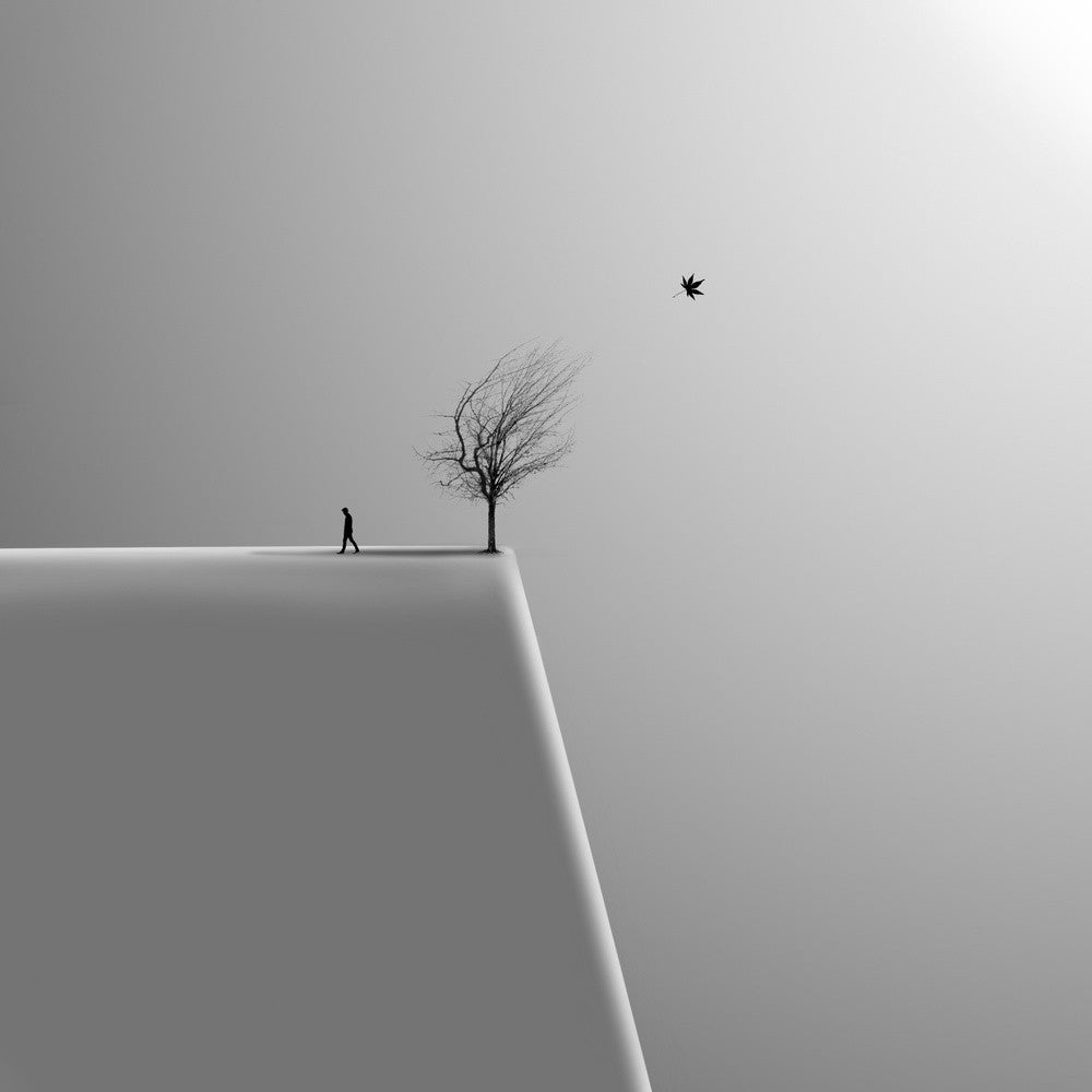Renewal
