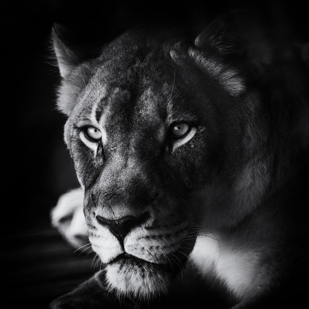 Der Blick