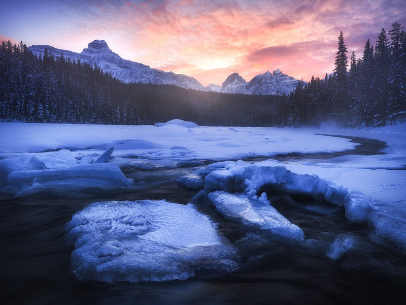 Frozen Wonderland