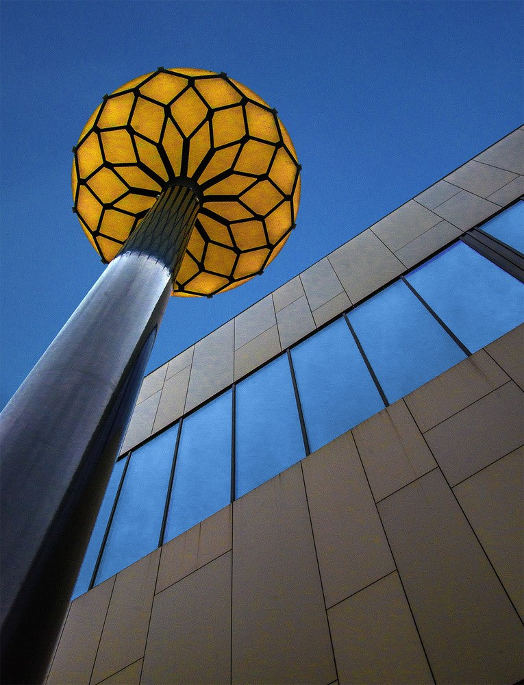 The yellow flower