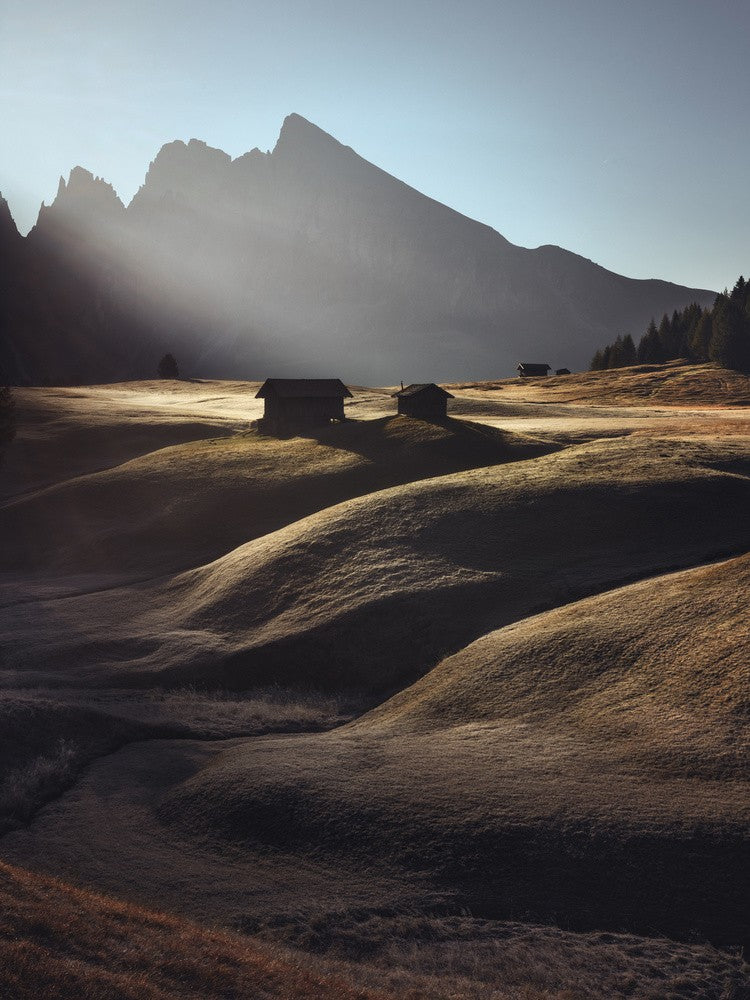 morning rays