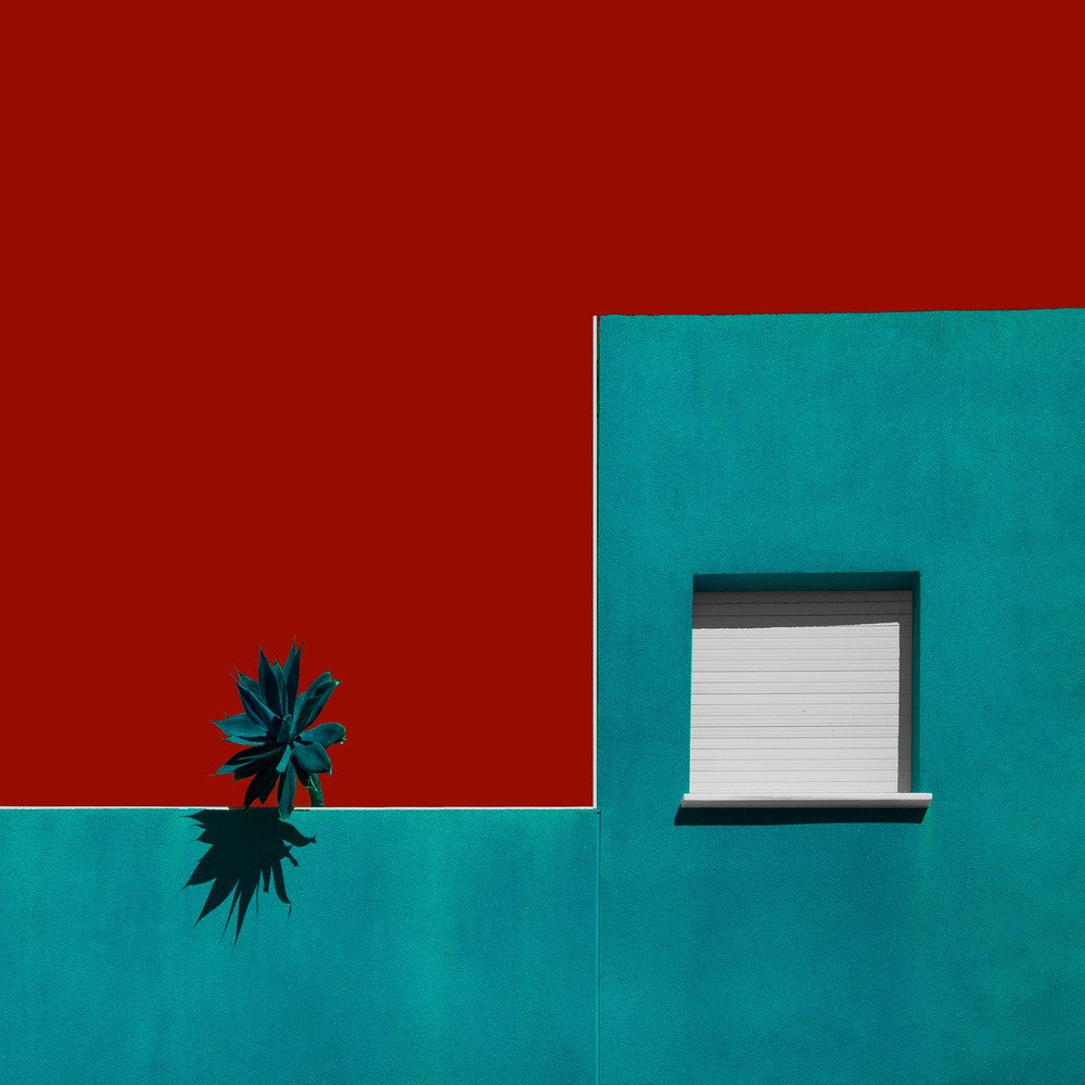 Un jardin sur le toit espagnol