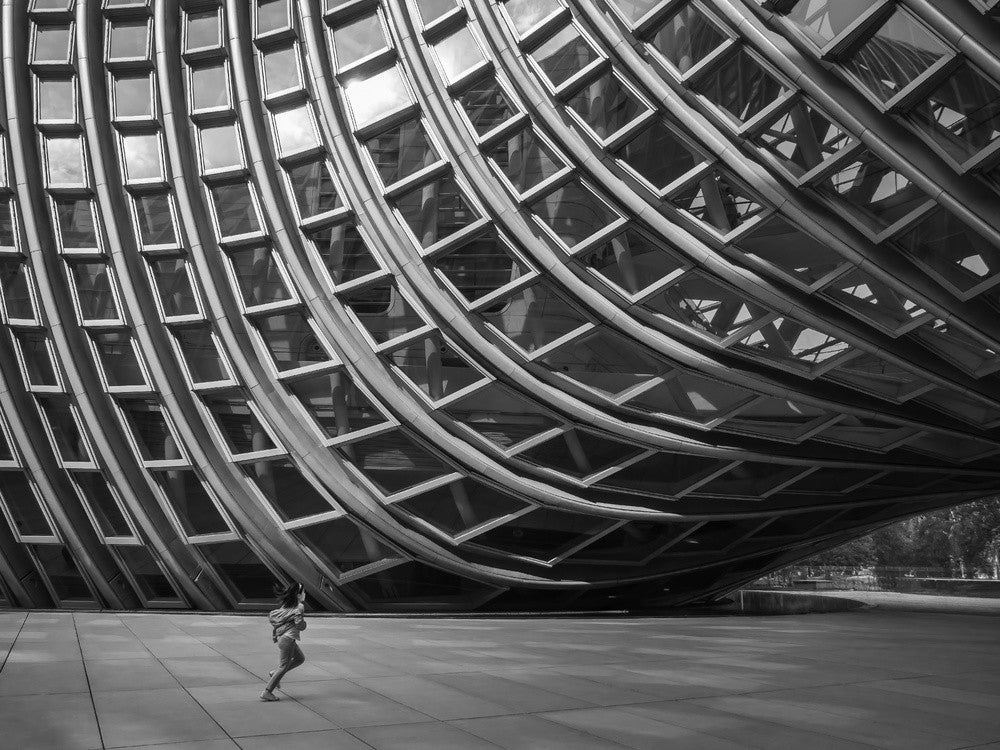 Phoenix Center