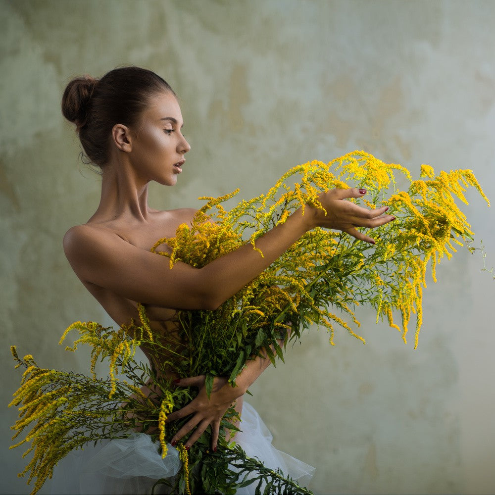 Solidago virgaurea