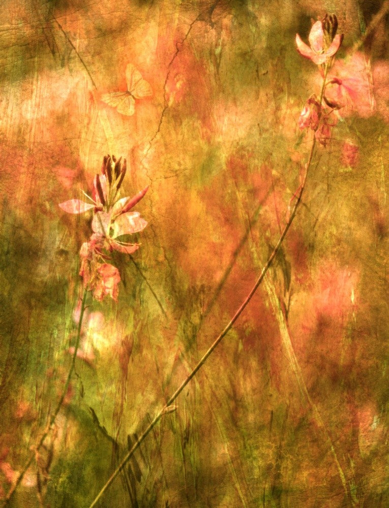 A Contemplation Upon Flowers