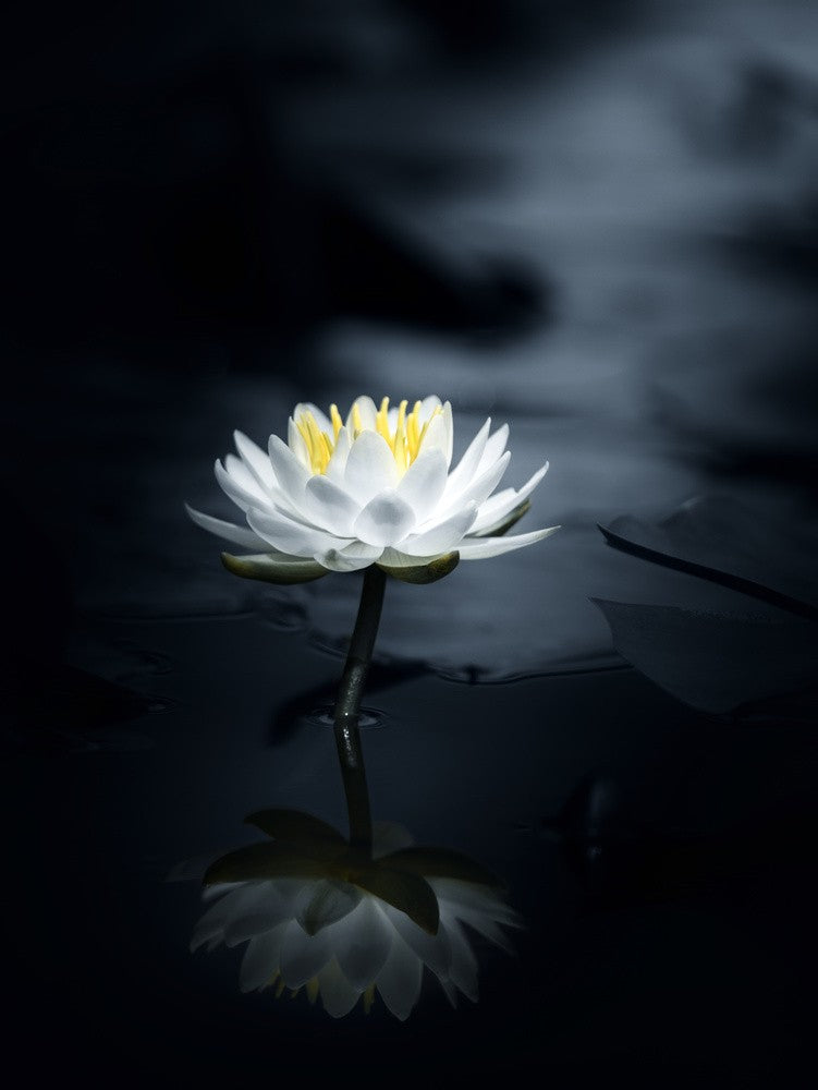 Reflection