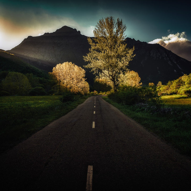 sunset on the road
