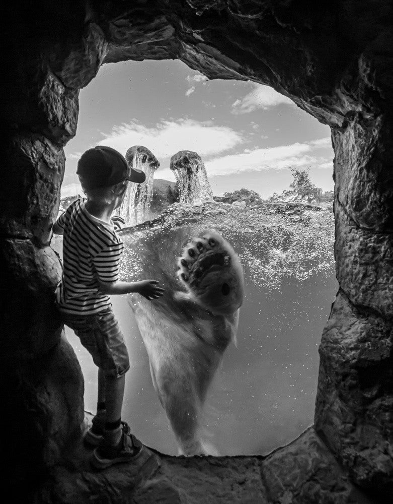 ... der Eisbär und der Junge # 2