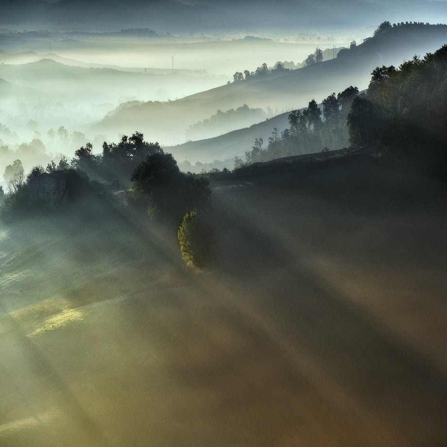 "FIRST RAYS"
