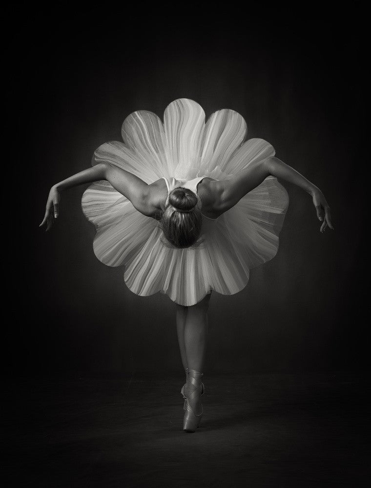 Floral Ballet