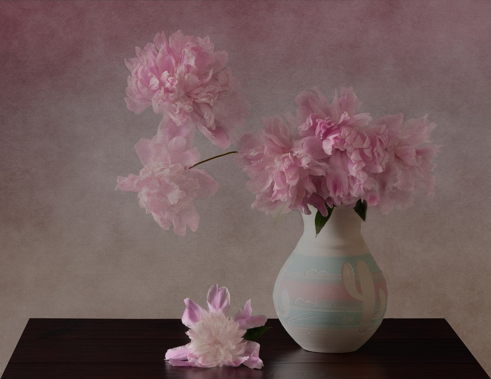 Peonies Still Life