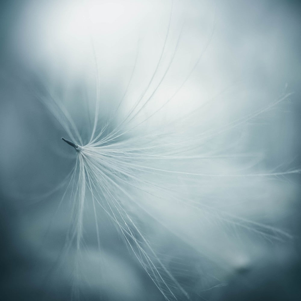 lightness