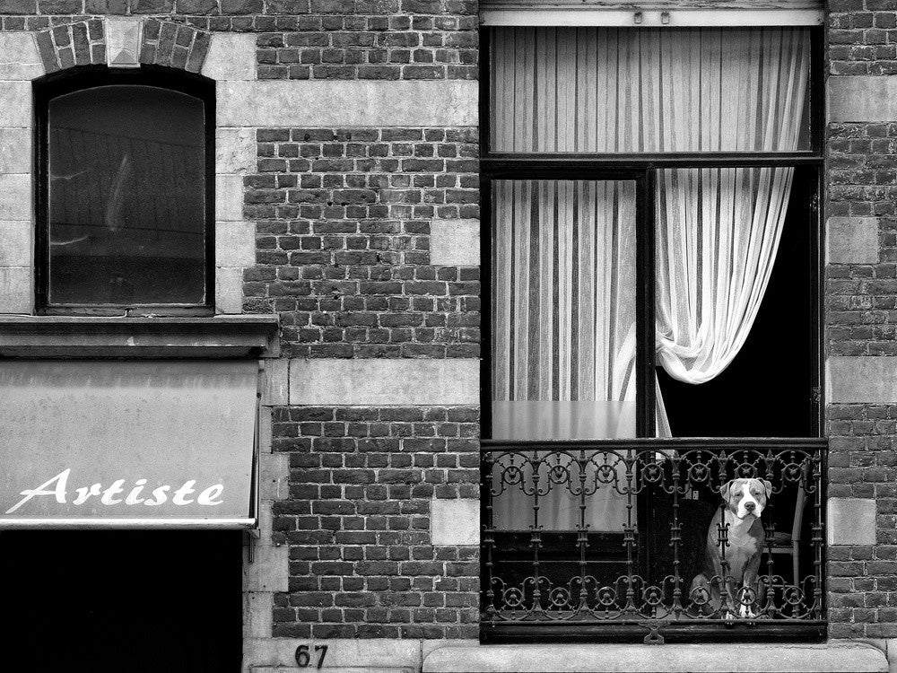 L´Artiste