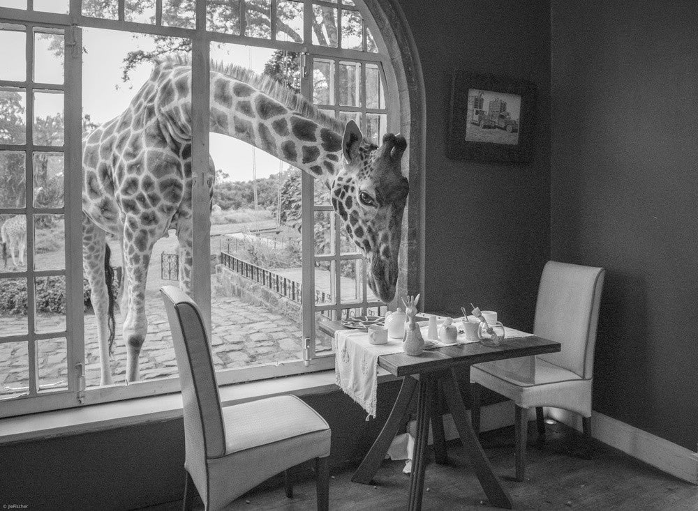 Breakfast time