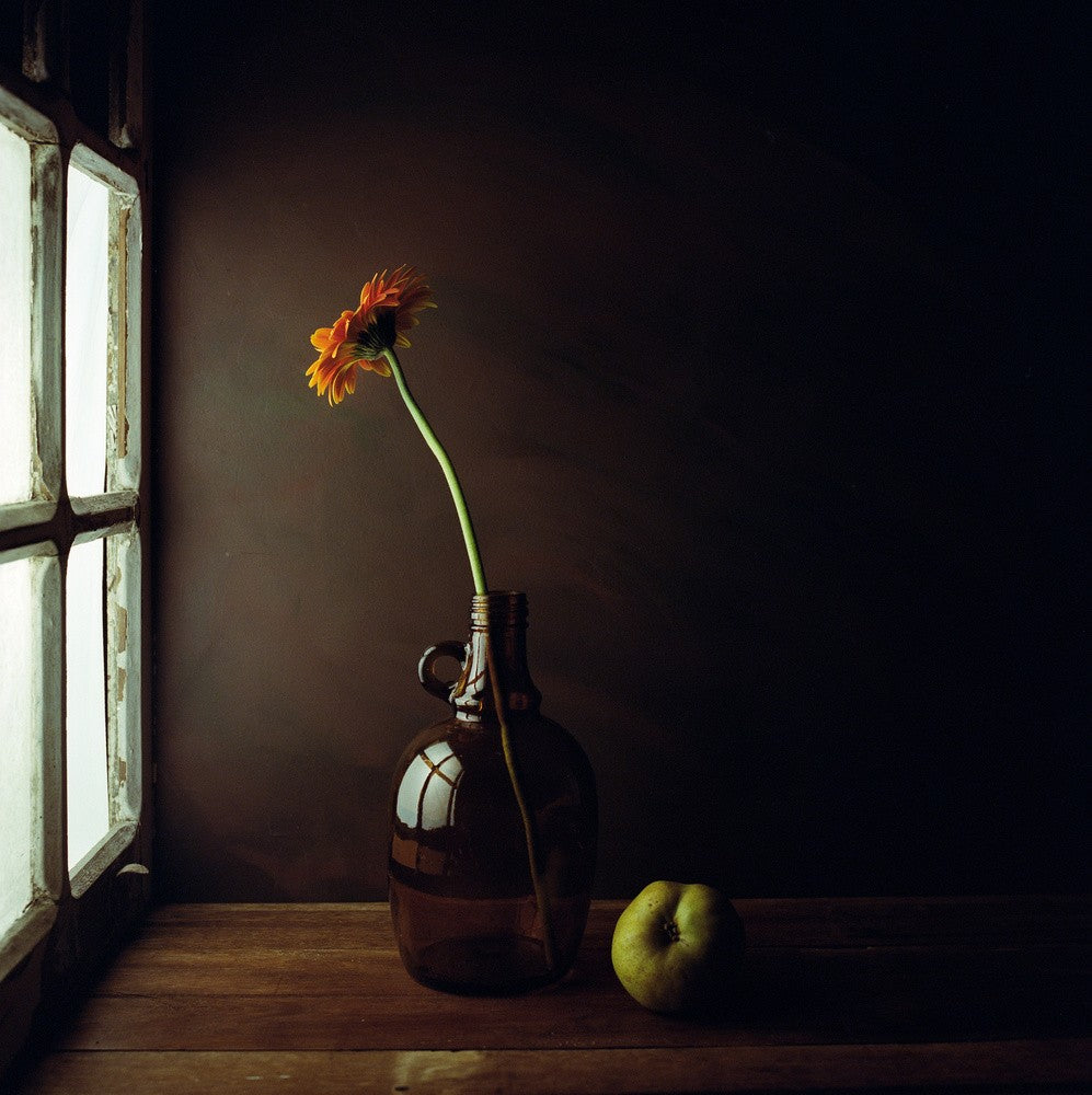 Die Birne