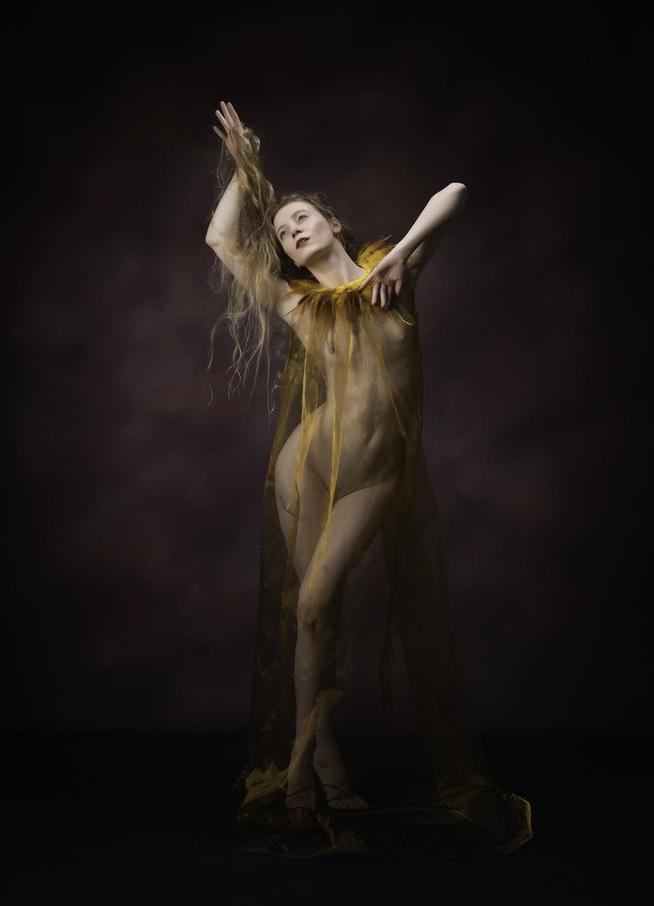 Gold Feathers