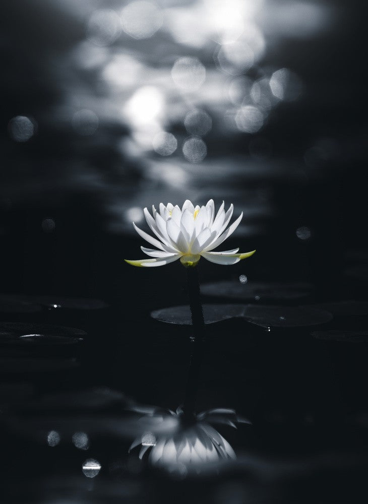Reflection