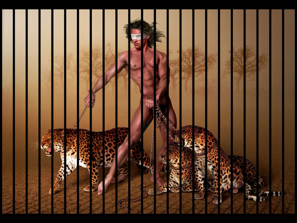 Leopards