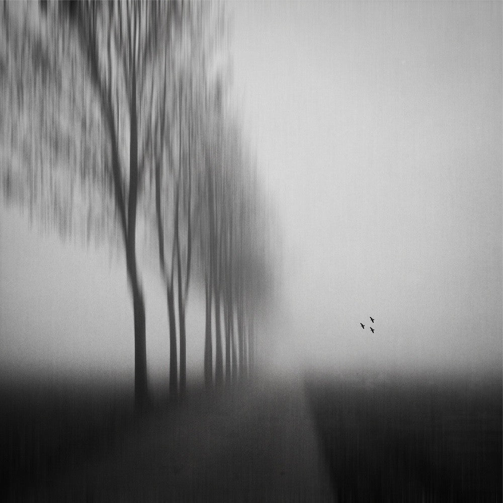 An einem Morgen im Herbst