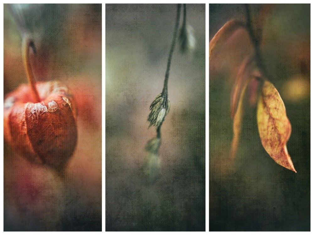 Autumn Impression