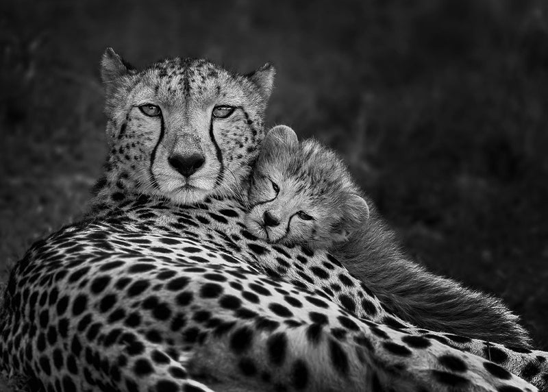 Peaceful moment