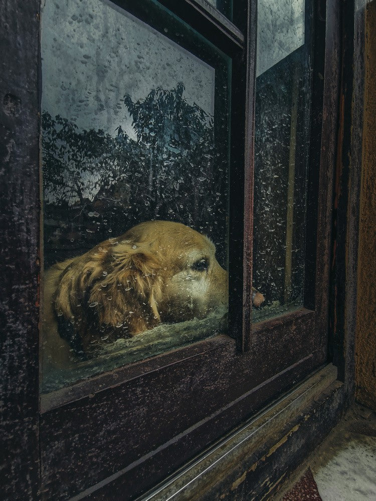 waiting game