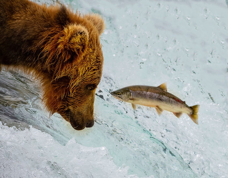 Eye to Eye