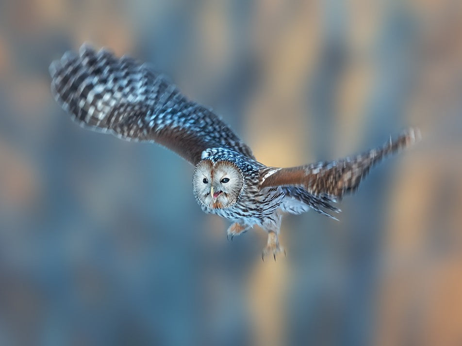 Good morning, little cutie