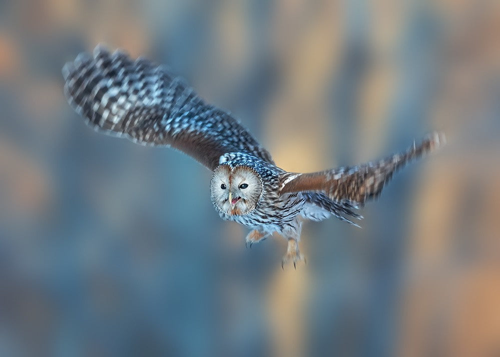 Good morning, little cutie