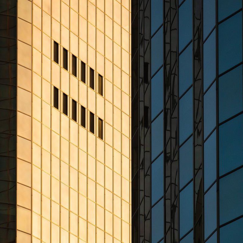 Evening Contrasts