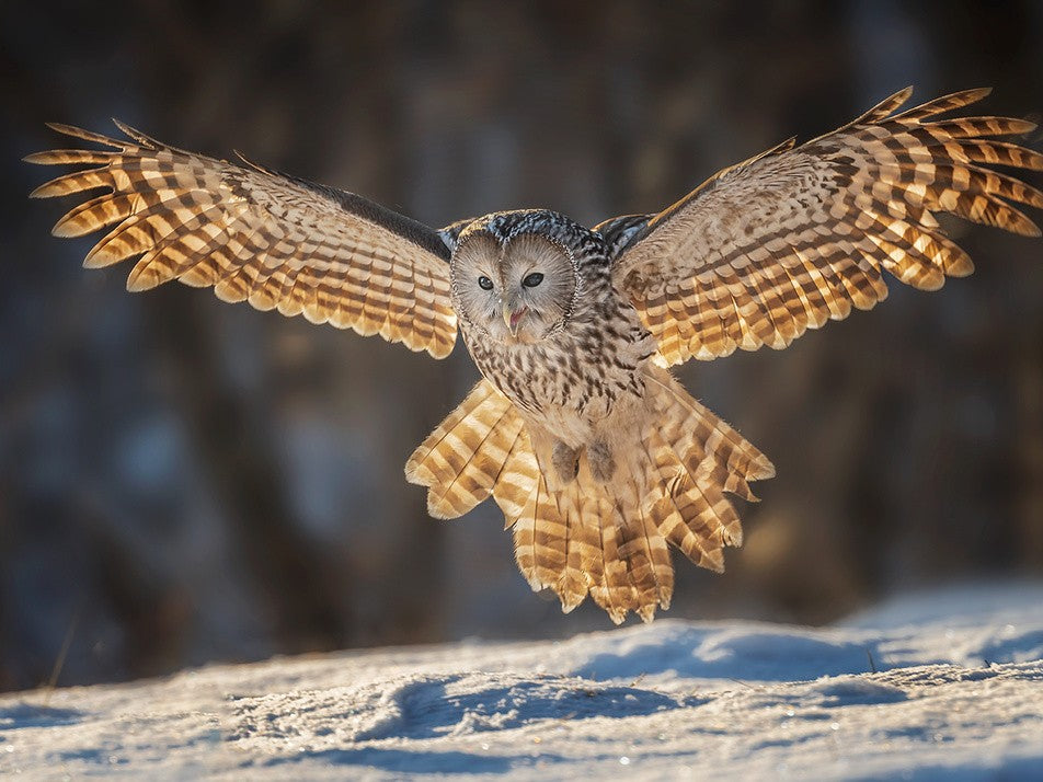 Baby, let me hug you