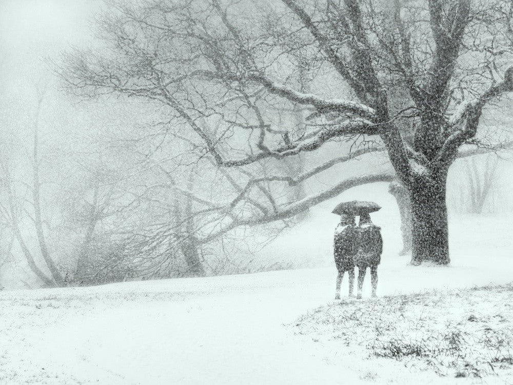 Through the snowfall