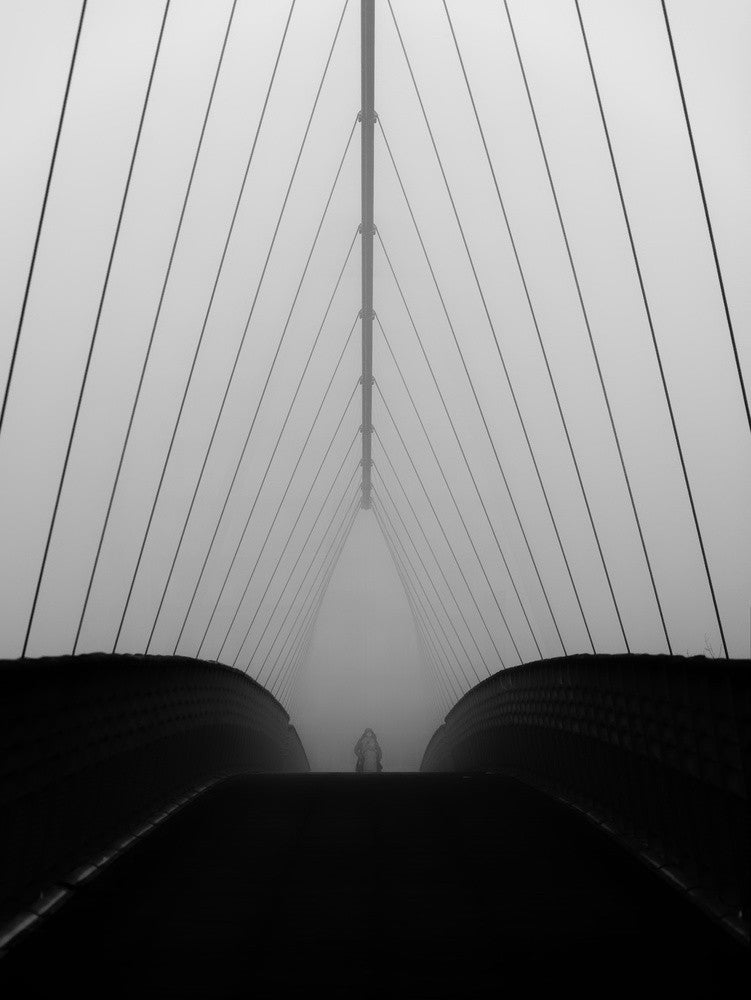 shy step into canopy