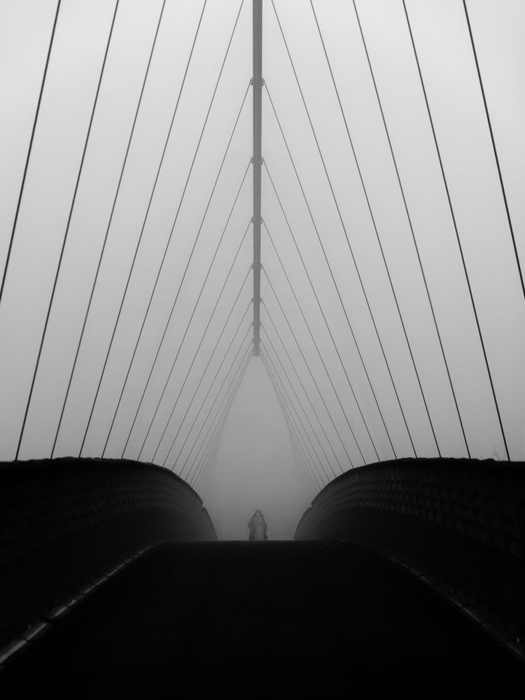 shy step into canopy