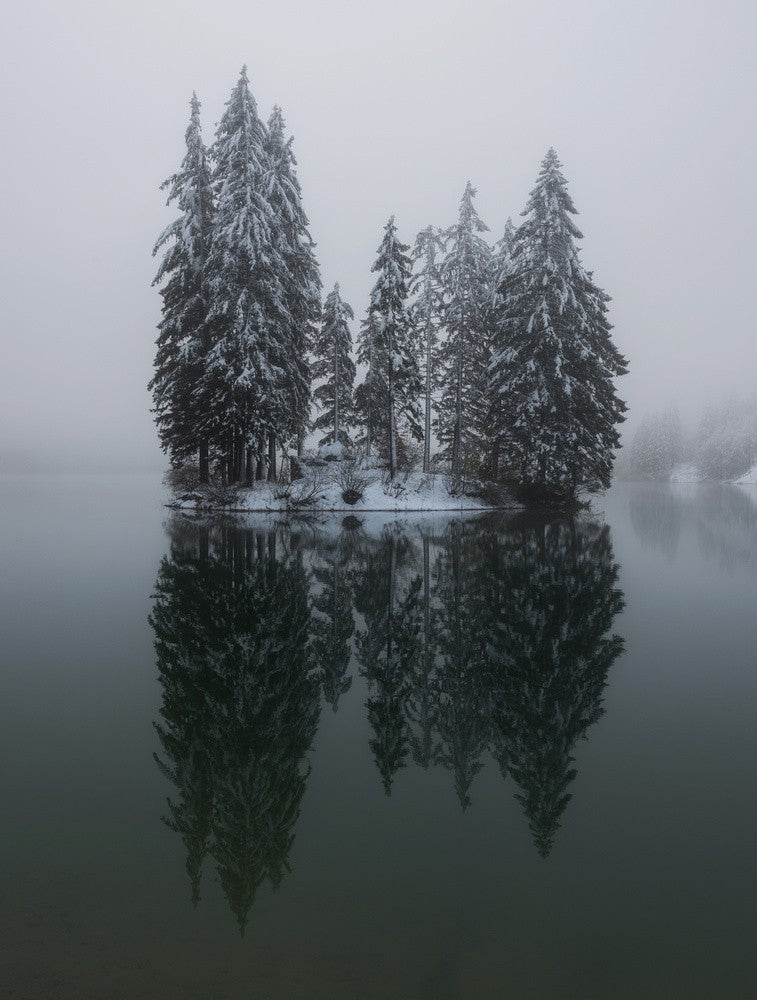 Winter reflection