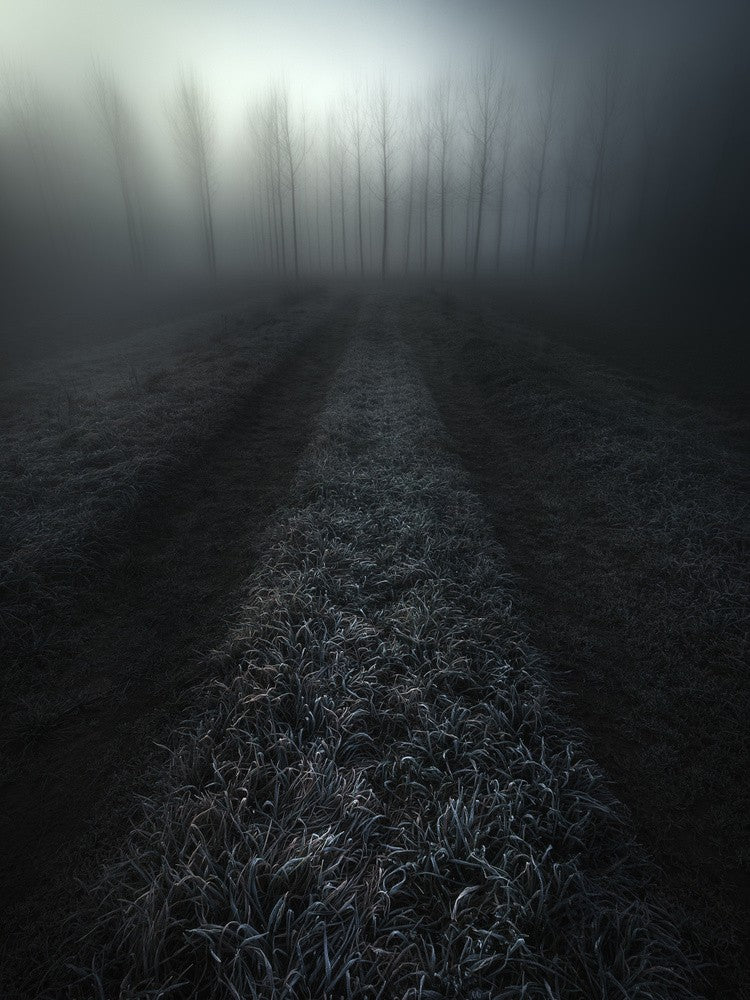 Freezy Morning