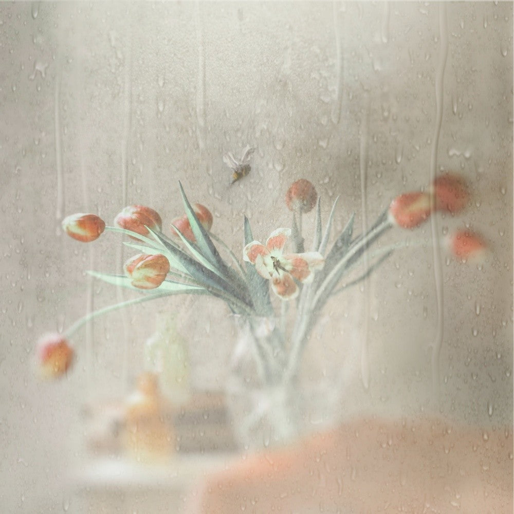 Unexpected Rain