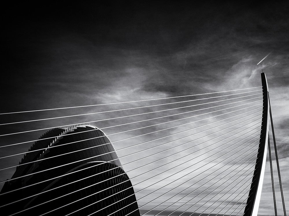 The bow/L'arco